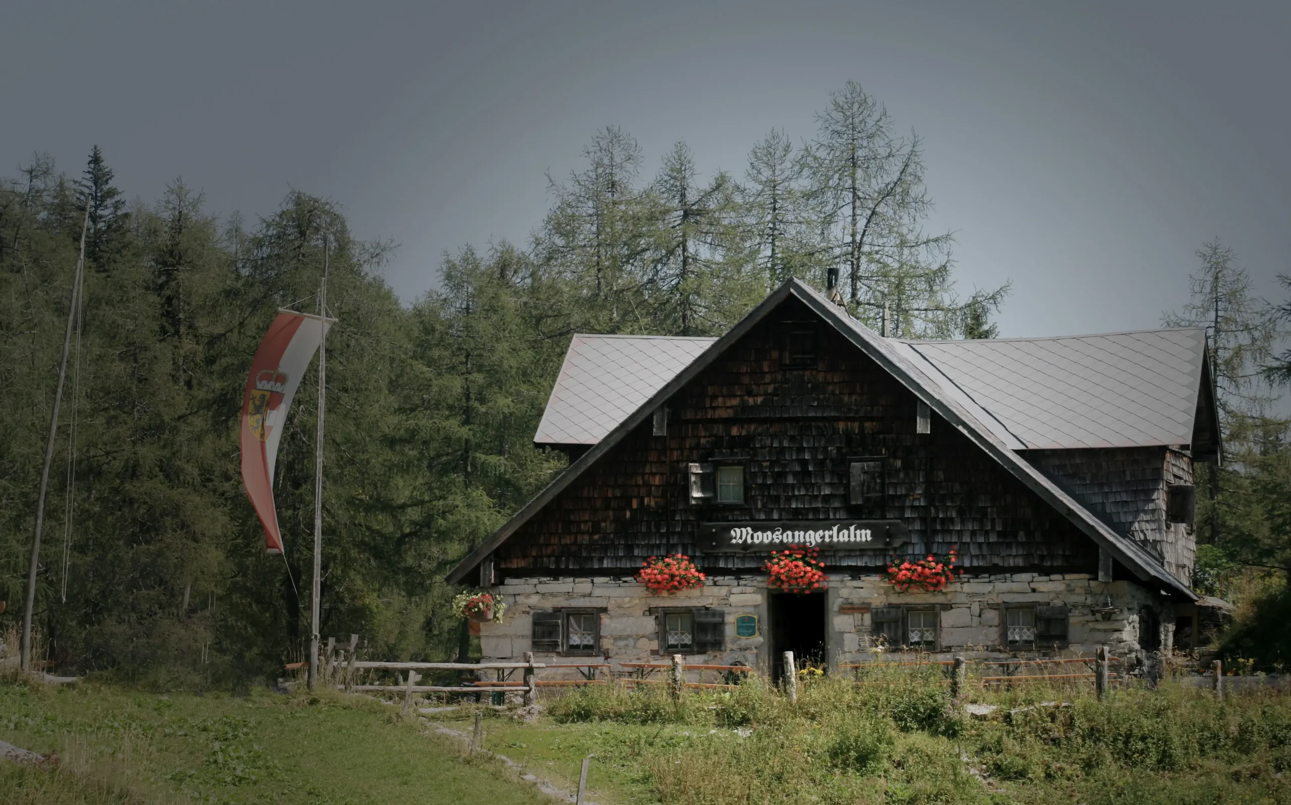 Bilder der Moosangerlalm am Trattberg