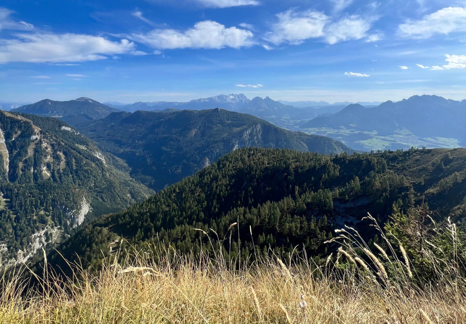 Aussicht beim Wandern am Trattberg