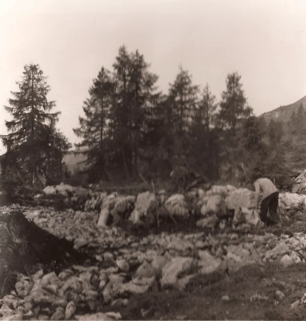Mann beim Steinmauer bauen